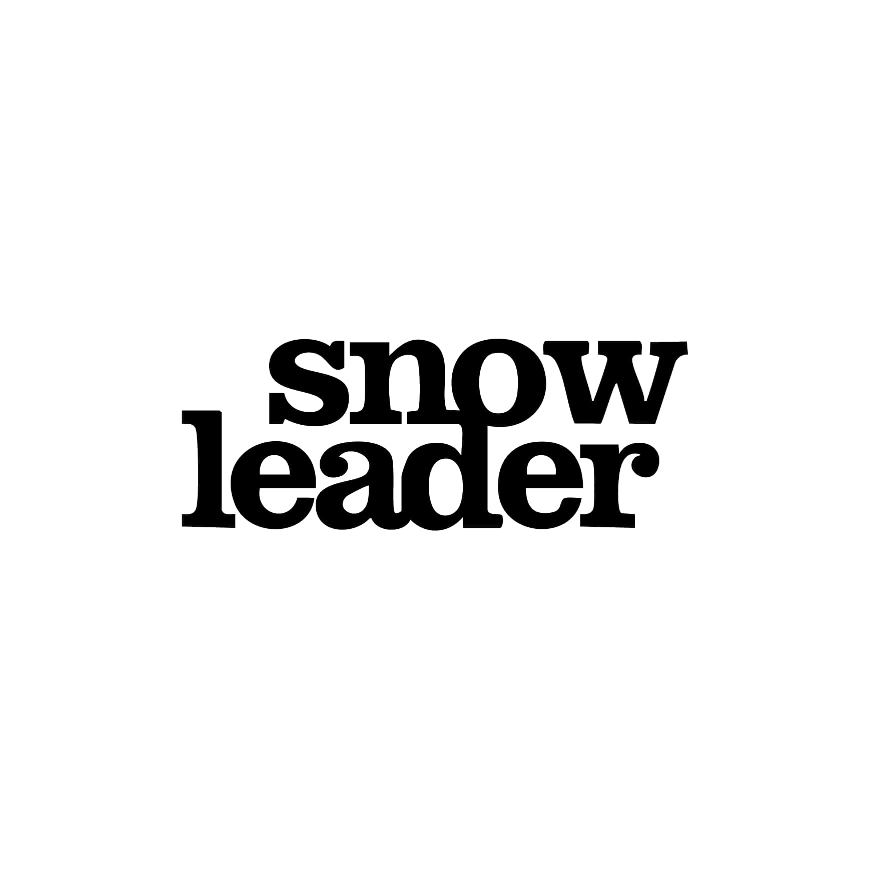 Snowleader Discount Code and Coupon Code